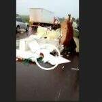 VÍDEO: Acidente entre caminhão e viatura de resgate mata bombeiro na MS-162