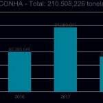 Em 2018, apreensões de maconha na fronteira caíram pela metade em comparação a 2017