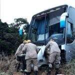 Cinco pessoas da mesma família morrem após carro bater de frente com ônibus