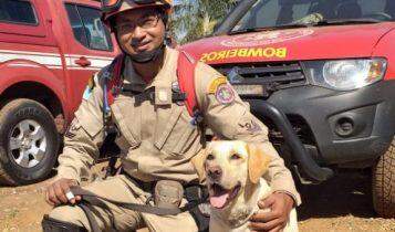 Cindy embarca nesta manhã para brumadinho e Duke ainda na tarde desta sexta | Foto: Divulgação