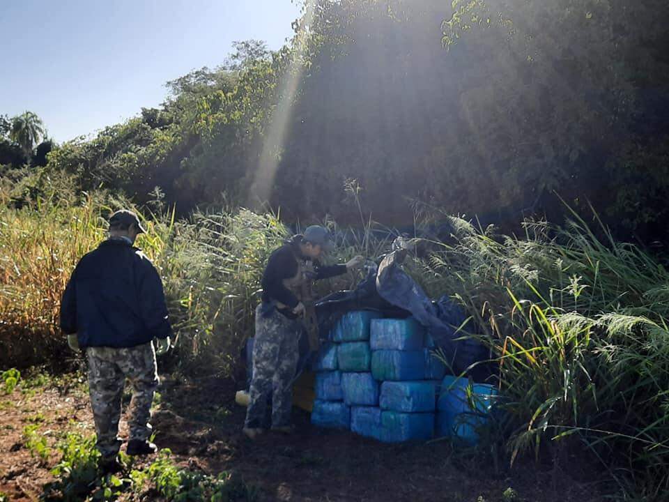 Agência antidrogas apreende 1,4 tonelada de maconha produzida em floresta protegida