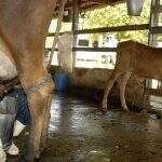 CMN limita a 6% ao ano taxa de financiamento a produtores de leite