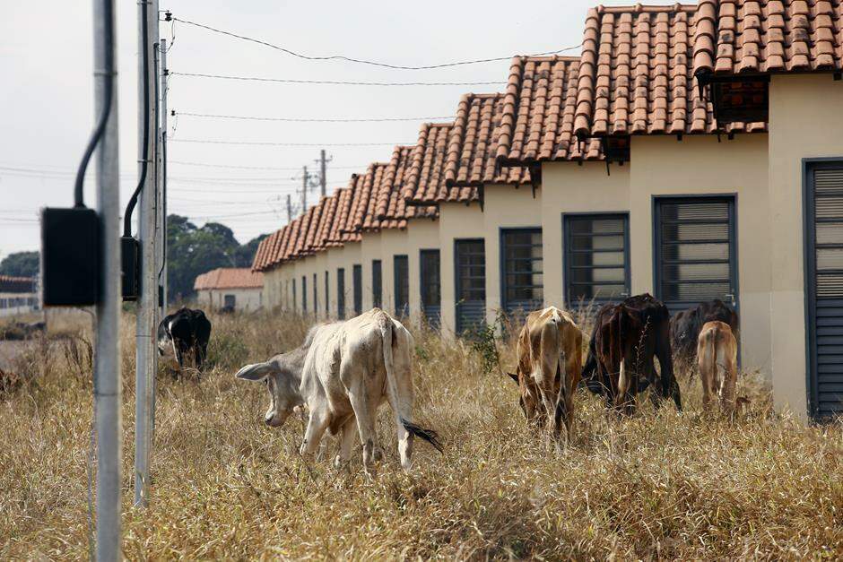 Agehab repassa R$ 563 mil à Caixa e obras em residencial abandonado são retomadas