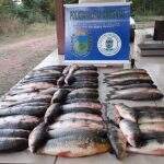 Pescador é preso com 51 peixes em Anastácio