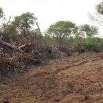 Assentados são multados em R$ 4,2 mil por desmatamentos de 14 hectares