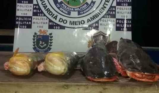 Açougueiro e vigilante são flagrados com 31 kg de pescado e multados em R$ 8 mil
