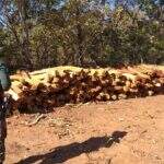 Fazendeiro é multado em R$ 38 mil por dematamento e exploração ilegal de madeira