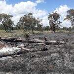 PMA multa fazendeiro em R$ 19,5 mil por incêndio em vegetação no município de Anastácio