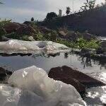 Sujeira se acumula no rio Anhanduí e afeta vida aquática em Campo Grande