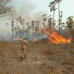 Área queimada no Pantanal em 2021 é 6 vezes menor do que destruição de 2020