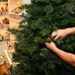 Você sabia que a cada ano existe uma data para montar a árvore de Natal?