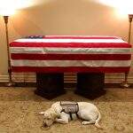 Cachorro que acompanhava George H.W. Bush é visto deitado ao lado do caixão.