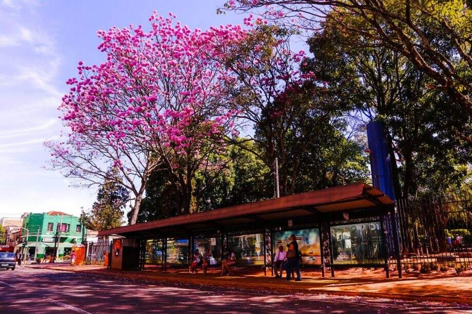 Resolução libera abertura de parques e praças de Campo Grande a partir de quarta-feira