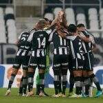Botafogo vira sobre o Operário e confirma retorno à elite do Brasileirão