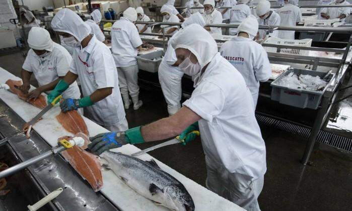 Depois do frango, europeus embargam importações de pescado do Brasil
