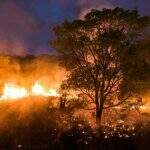 Brasil ‘queima’ 1 Inglaterra por ano e Pantanal é o bioma mais atingido, mostra estudo