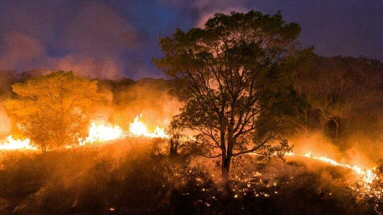 Brasil 'queima' 1 Inglaterra por ano e Pantanal é o bioma mais atingido, mostra estudo