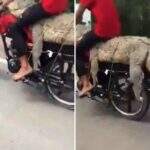 VÍDEO: Jovens capturam jacaré, o amarram em moto e arrastam o animal em rodovia