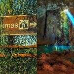 Formado há mais de 10 mil anos, Abismo Anhumas é floresta calcária escondida em Bonito