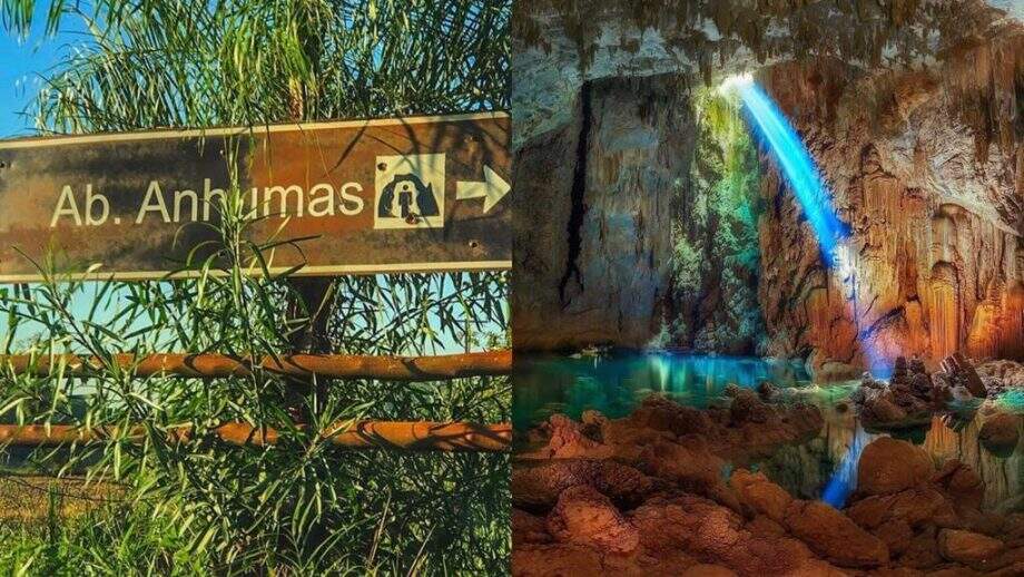 Formado há mais de 10 mil anos, Abismo Anhumas é floresta calcária escondida em Bonito