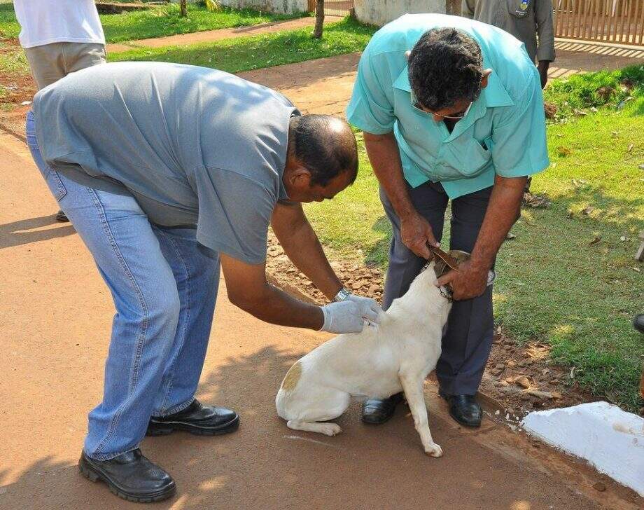 Na zona rural a vacinação acontece nas imediações da Aldeia Jaguapiru. (Foto:Divulgação)