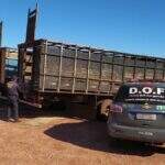 Polícia intercepta caminhões boiadeiros com quase 4 toneladas de maconha