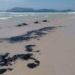 Óleo na praia de Cabo Frio não é compatível com substância do Nordeste