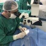 Hospital de Dourados faz mais de 80 cirurgias de cataratas em dois dias
