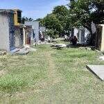 Cemitério paraguaio prepara valas coeltivas para vítimas da pandemia