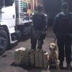 Preso com cocaína avaliada em R$ 1 milhão aceitou ‘trabalho’ em troca de caminhão