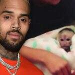 Chris Brown é multado em R$140 mil por comprar macaco ilegal