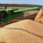 Calor e tempo seco favorecem produtores e aceleram colheita do milho em Mato Grosso do Sul