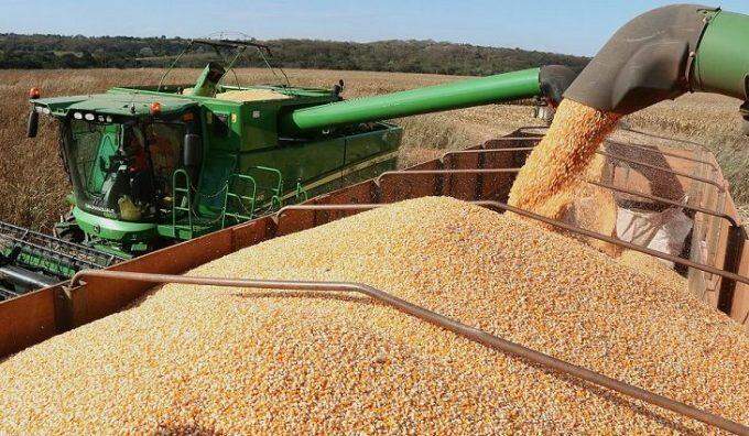 Calor e tempo seco favorecem produtores e aceleram colheita do milho em Mato Grosso do Sul