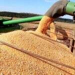 Crédito agrícola: agronegócio de MS tem R$ 231,57 mi aprovados no âmbito do FCO