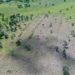 Imagem de satélite revela desmatamento ilegal e fazendeiro é multado em R$ 10 mil