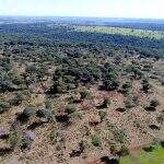 Polícia usa drone e multa fazendeiro em R$ 28 mil por desmatamento