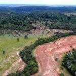 Fazendeiro é multado em R$ 67 mil por desmatamento ilegal de área protegida