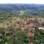 Com ajuda de drones, PMA-MS multa homem em R$ 4 mil por desmatamento