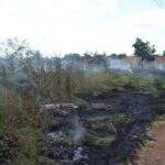 Moradores denunciam queimadas em terreno no Girassóis