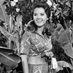 Atriz Dawn Wells morre aos 82 anos, vítima do coronavírus