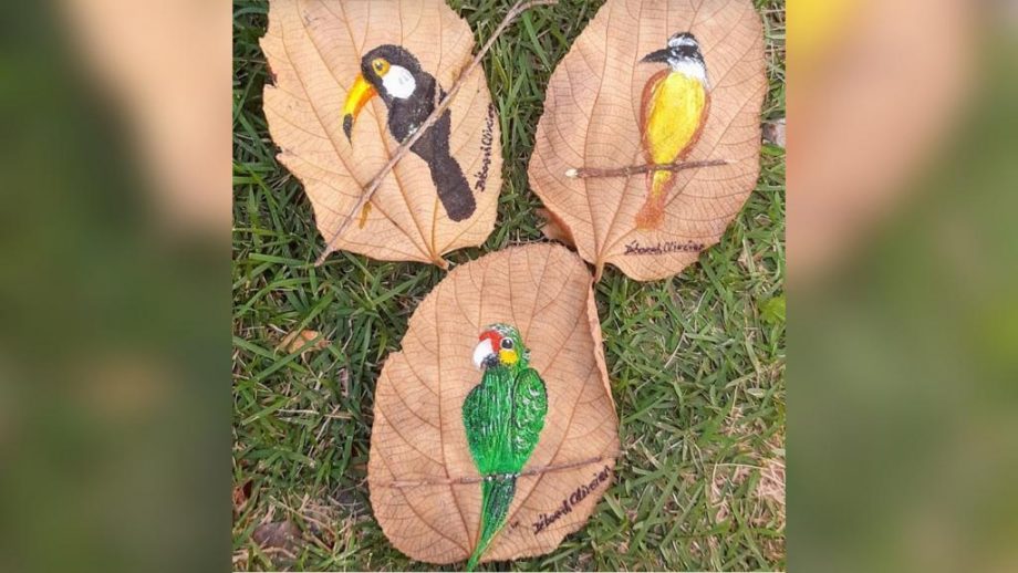 Artista plástica usa folhas secas bordadas para retratar a natureza sul-mato-grossense
