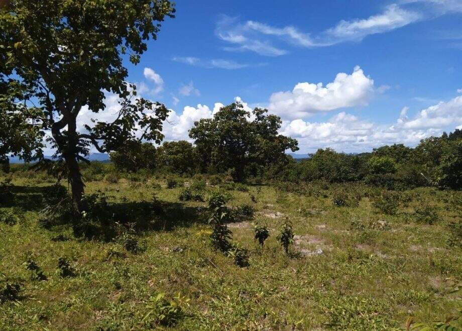 Fazendeiro de Corguinho é multado em R$ 50 mil por desmatamento feito em 2012