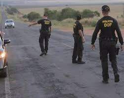 A apreensão aconteceu no trecho entre Indápolis e Lagoa Bonita (Foto: Divulgação)