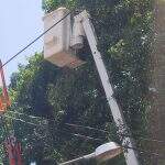 Temporal deixa 36 bairros de Dourados sem energia elétrica