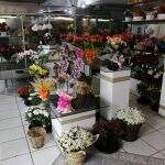 Pesquisa de preços do Procon-MS em floriculturas encontra variação de até 255,56%