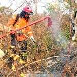 Mais 15 bombeiros chegam do Paraná para combater incêndios no Pantanal da Nhecolândia