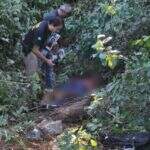 Jovem é encontrado morto em meio a milharal em estrada vicinal de Maracaju