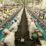China confirma suspensão de exportação de carne suína de unidades da BRF e da JBS