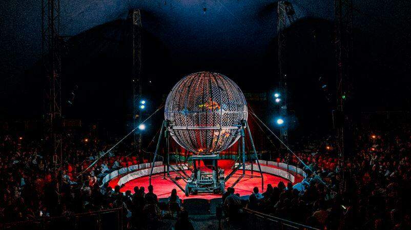 Marcos Frota e Circo dos Sonhos trazem para Campo Grande espetáculo circense