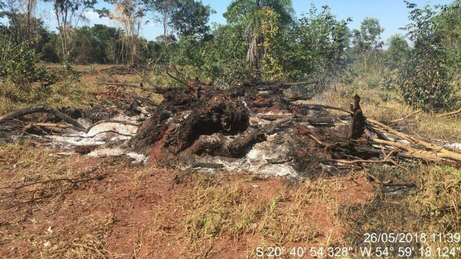 Assentado é multado em R$12,3 mil por desmatamento e incêndio de vegetação